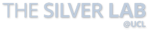 The Silver Lab
