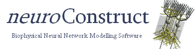 NeuroConstruct